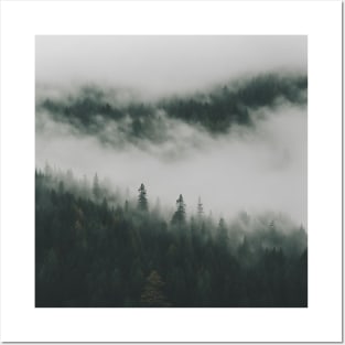 Misty Mountain Forest Posters and Art